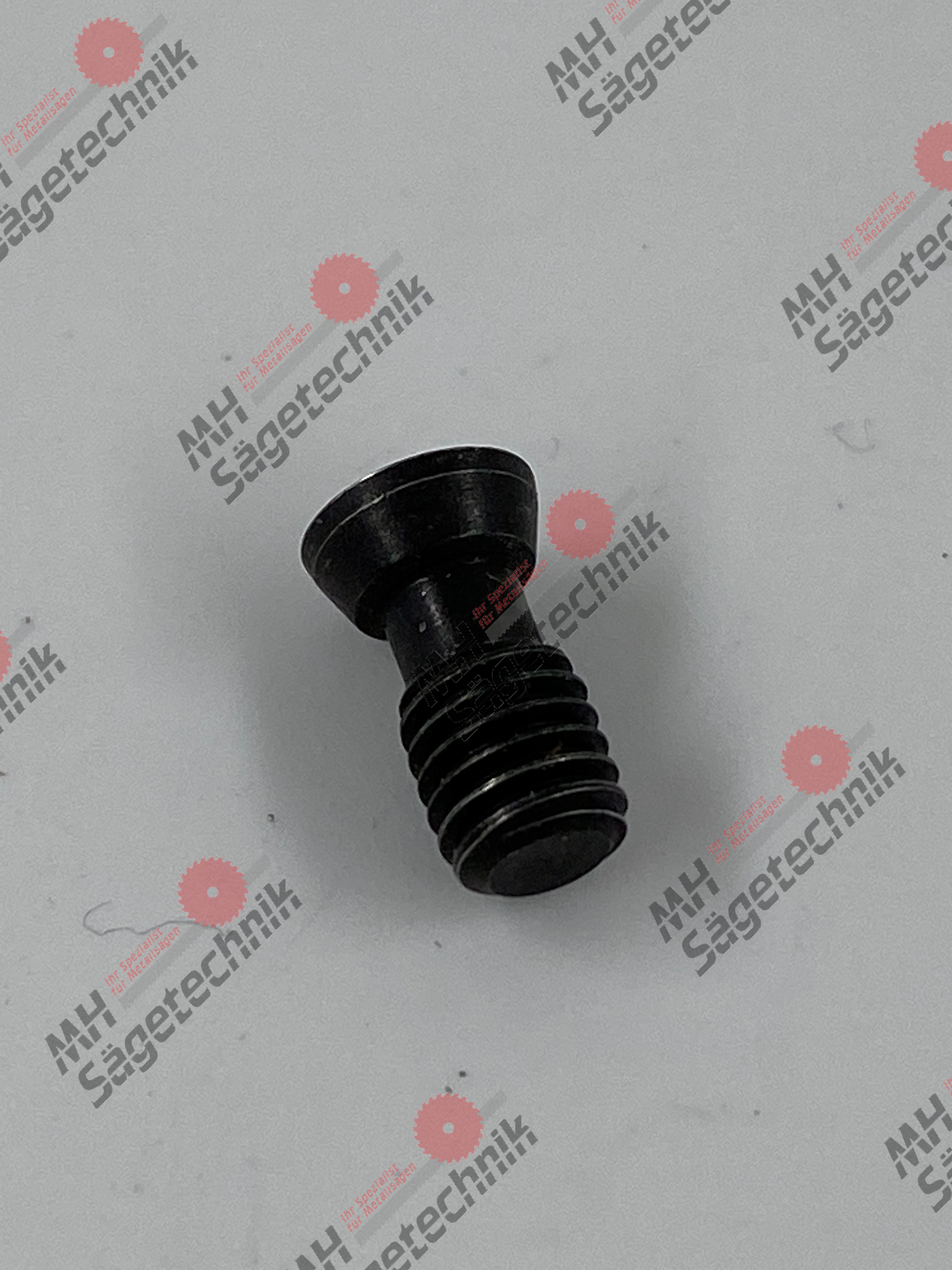 Torx-Schraube für Hartmetallplatte