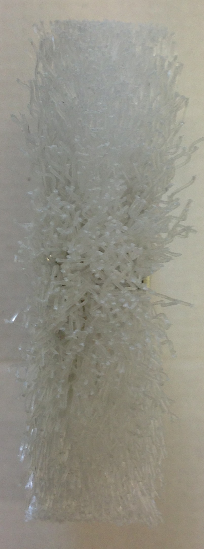 Spänebürste Nylon Ø 100 x 20 mm