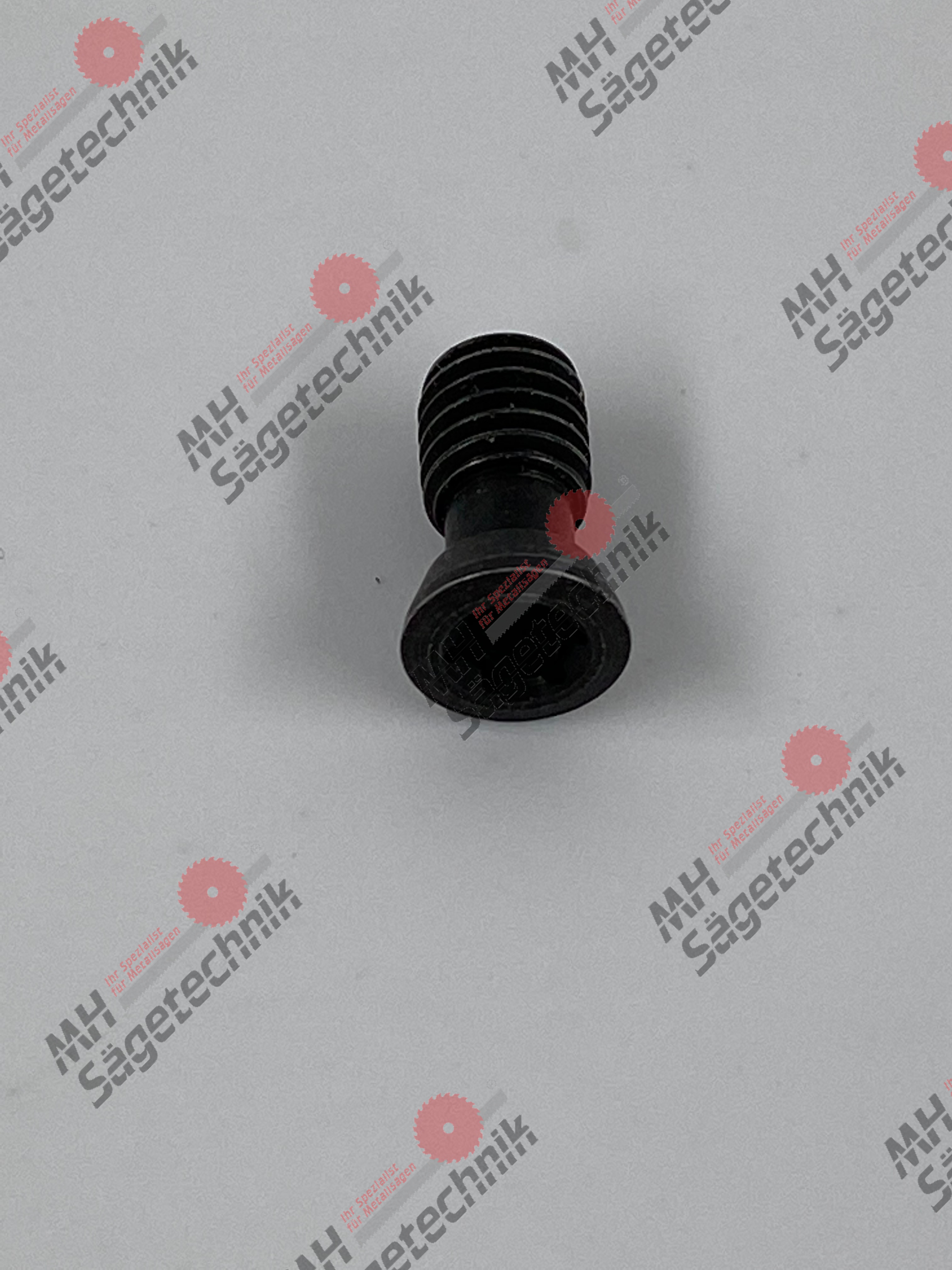 Torx-Schraube für Hartmetallplatte